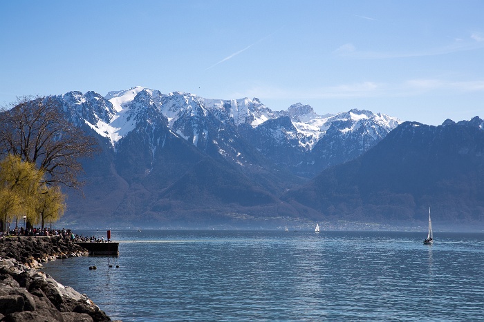 Bord du lac Vevey - 004